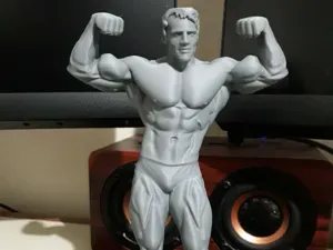 Arnold Schwarzenegger Body Builder Male Flexing