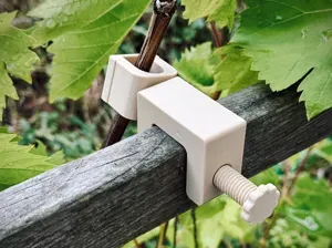 Klemme für Pflanzen mit drehbarem Kopf