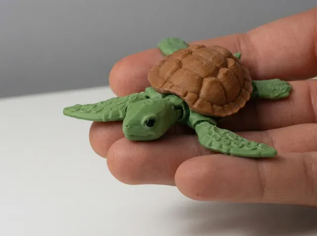 Sea Turtle - Articulated — Image 3 of 4