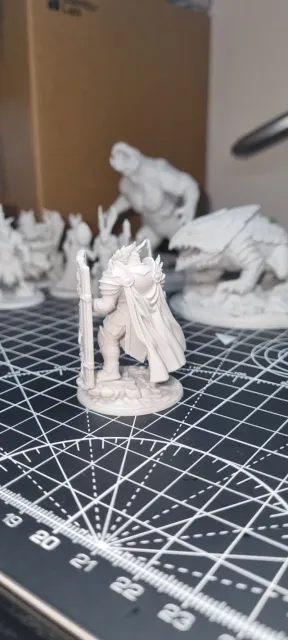 Paladin Dragonborn Male D&D Miniature (48mm) — Фото 4 из 12