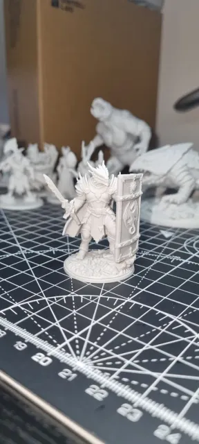 Paladin Dragonborn Male D&D Miniature (48mm) — Фото 2 из 12