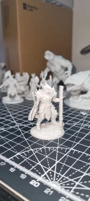 Paladin Dragonborn Male D&D Miniature (48mm) — Фото 6 из 12