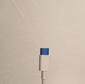 USB Type-C male dust cover