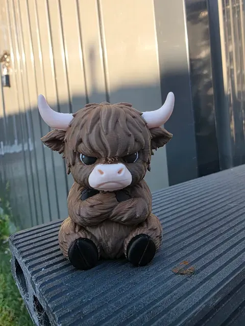 The Grumpy Highland Cow — Image 2 of 5