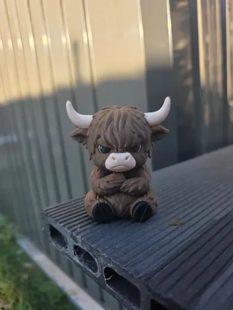 The Grumpy Highland Cow — Image 3 of 5