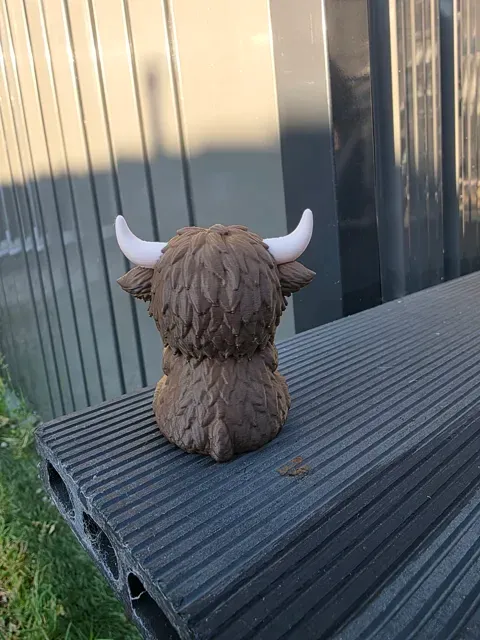 The Grumpy Highland Cow — Image 5 of 5