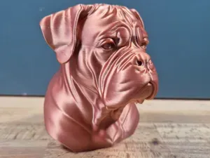 Dogue De Bordeaux (Bordeauxdog) Bust