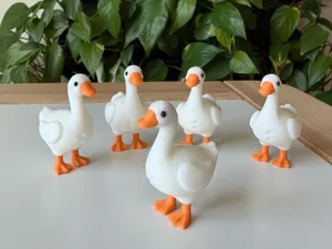 Goose