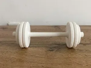 Straight Barbell - Decorative Fitness Model