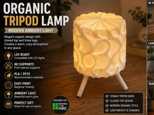 Organic Tripod Lamp | Modern Ambient Table Light