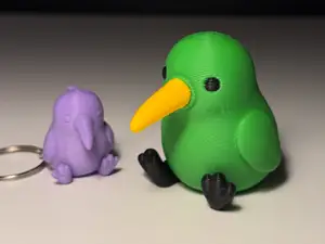 Cute Kiwi