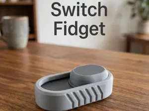 Switch Fidget