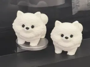 可爱的博美