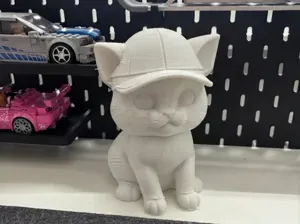 adorable baby cat in a hat