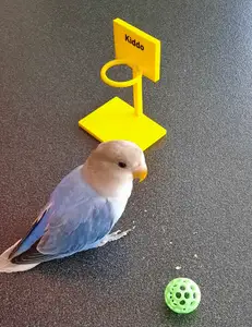 mini basketball hoop-print in place-name option