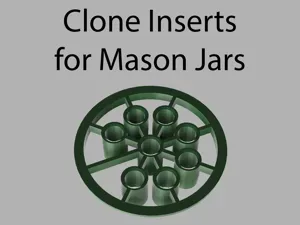 Mason jar - clone inserts (BETA release)