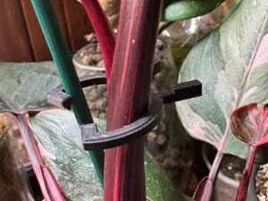 Plant Clip for Stakes and Moss Poles