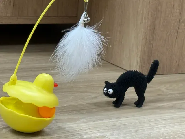 The Cat Who's Scared of Everything — Фото 3 из 4