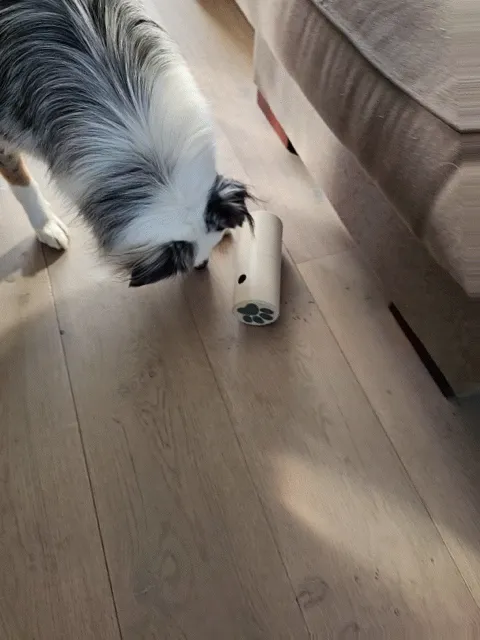 Dog treat rolling dispenser — Image 4 of 8