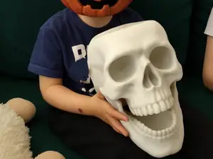 Skull Planter Pot Halloween Decoration for Plants