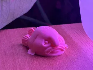 Sad Blobfish - funny ugly fish