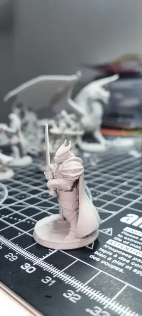 Paladin Dragonborn Male D&D Miniature (45mm) — Фото 4 из 10