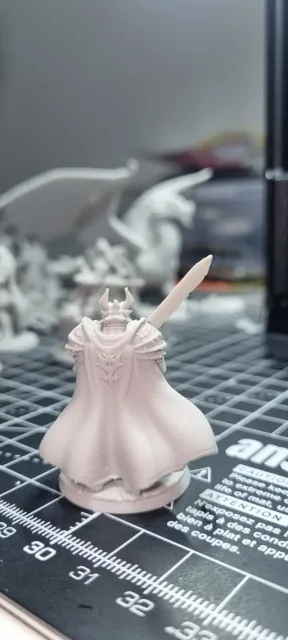 Paladin Dragonborn Male D&D Miniature (45mm) — Фото 6 из 10