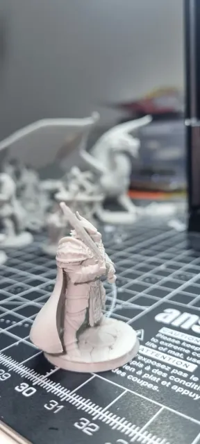 Paladin Dragonborn Male D&D Miniature (45mm) — Фото 5 из 10
