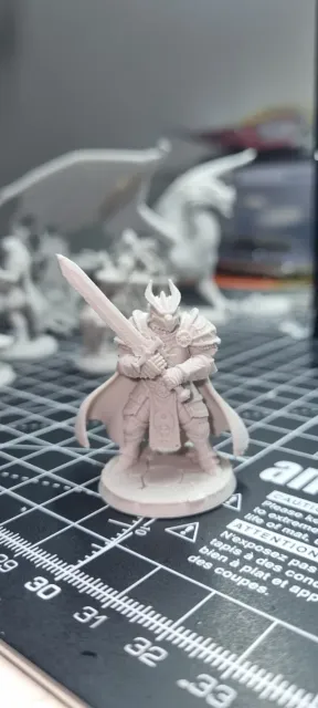 Paladin Dragonborn Male D&D Miniature (45mm) — Фото 3 из 10
