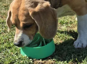 Slow Feeder Pet Bowl