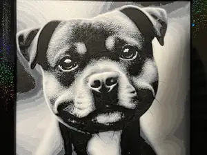 American stafforshire terrier face Hueforge