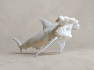 Hummer Head Shark | hyper Detailed