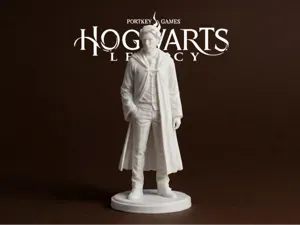 Sebastian Sallow – Hogwarts Legacy 3D Model
