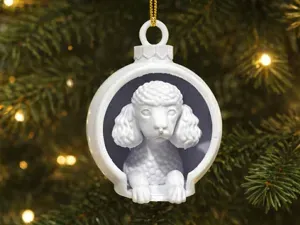 Poodle, Caniche cute in Christmas Bauble