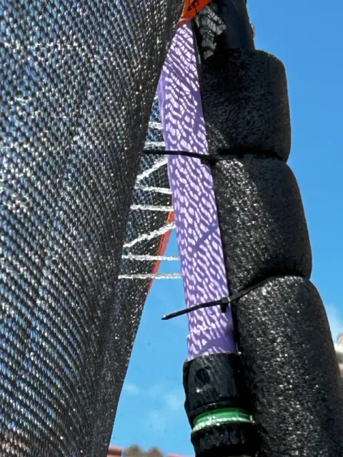AquaBounce — Image 2 of 7