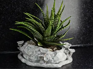 Mashroom flower pot 2