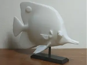 Copperband Butterfly Fish Mount