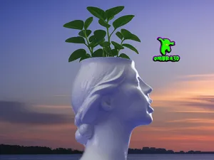 Desire – Woman Planter