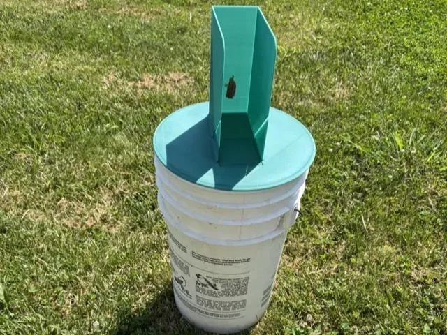 A Better (No-Kill) Mousetrap