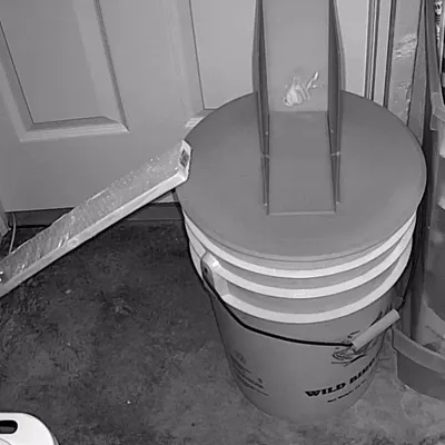A Better (No-Kill) Mousetrap — Image 5 of 5