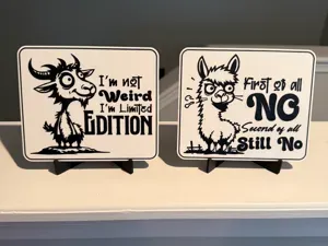 FUNNY SARCASTIC SIGNS WITH MATCHING COASTER
