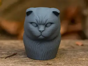 Die stille Katzenwächterin BKH Scottish Fold