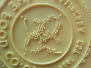 stencil