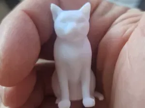 mini gatto seduto