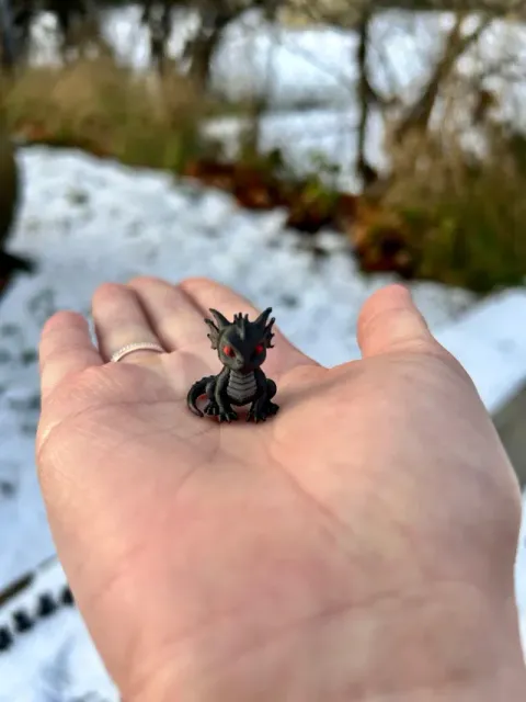 mini dragon — Image 2 of 6