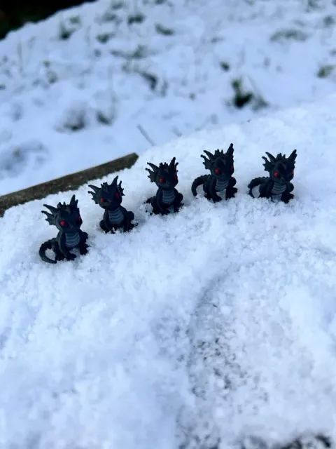 mini dragon — Image 4 of 6