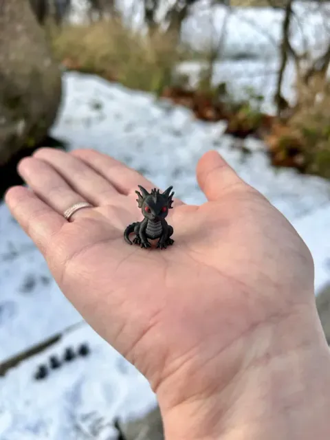 mini dragon — Image 5 of 6