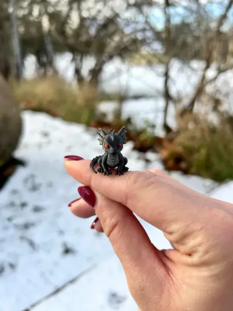 mini dragon — Image 6 of 6