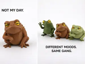 Not My Day Frog NO AMS – Cute toy Kawaii Figurine