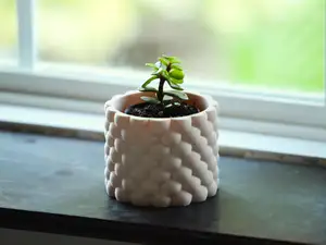 Modern Succulent Pot